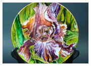 Декоративная тарелка. Ирисы 1. 1500 руб