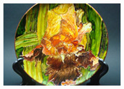 Декоративная тарелка. Ирисы 2. 1500 руб